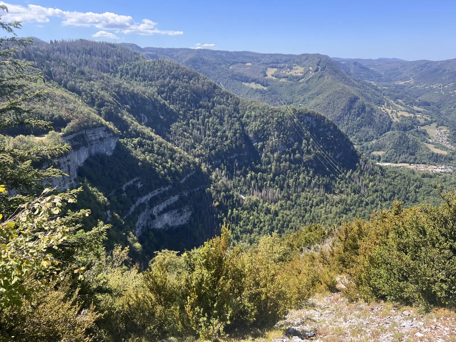 Cascade et forêt dans le Haut-Jura
