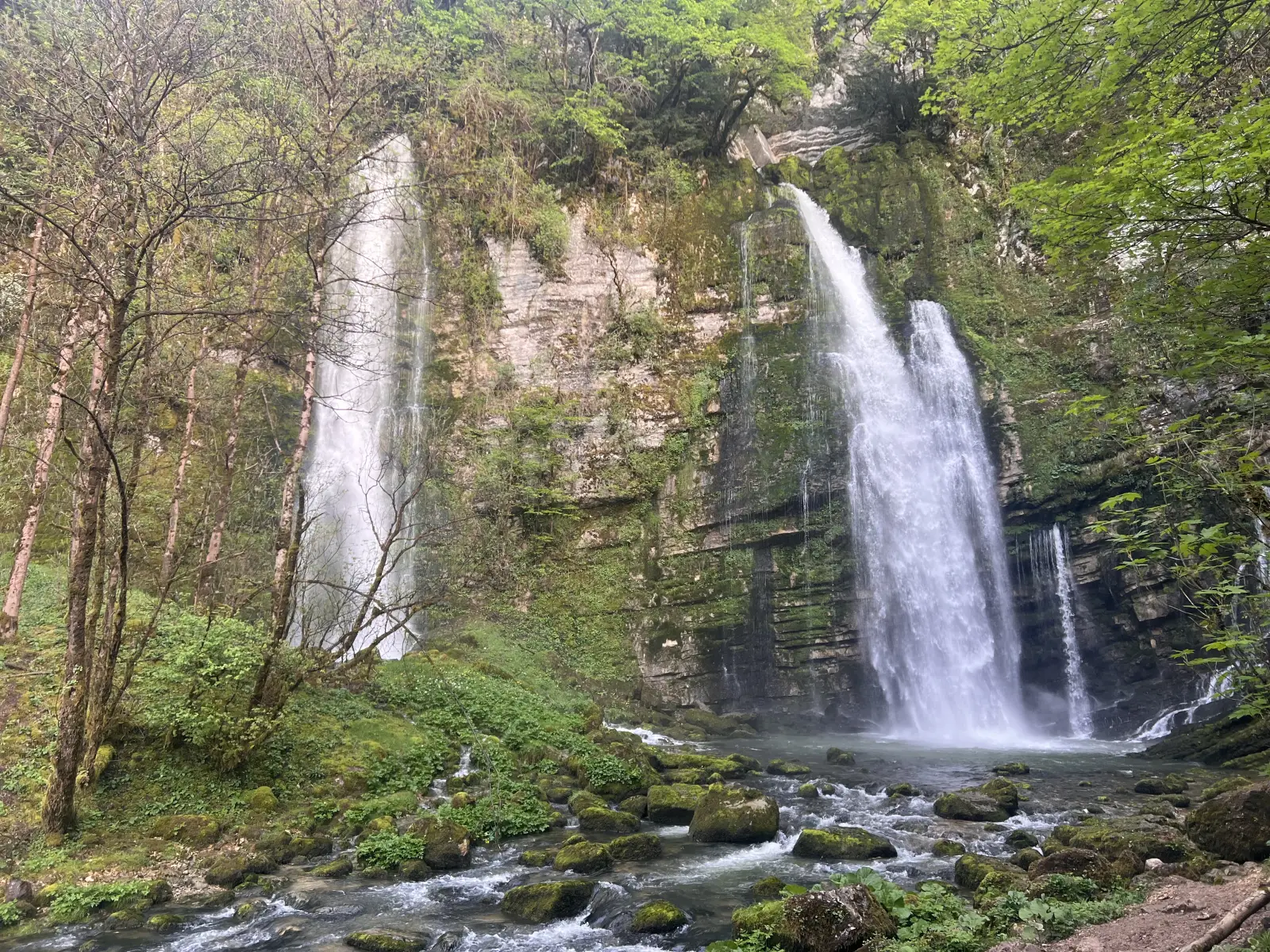 Cascade entourée de forêt dans le Jura