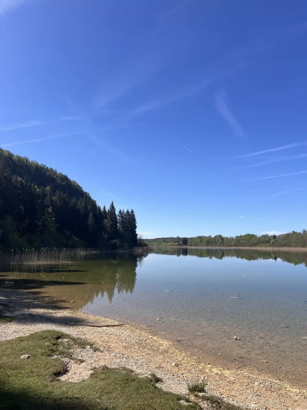 Lac et forêt dans le Haut-Jura