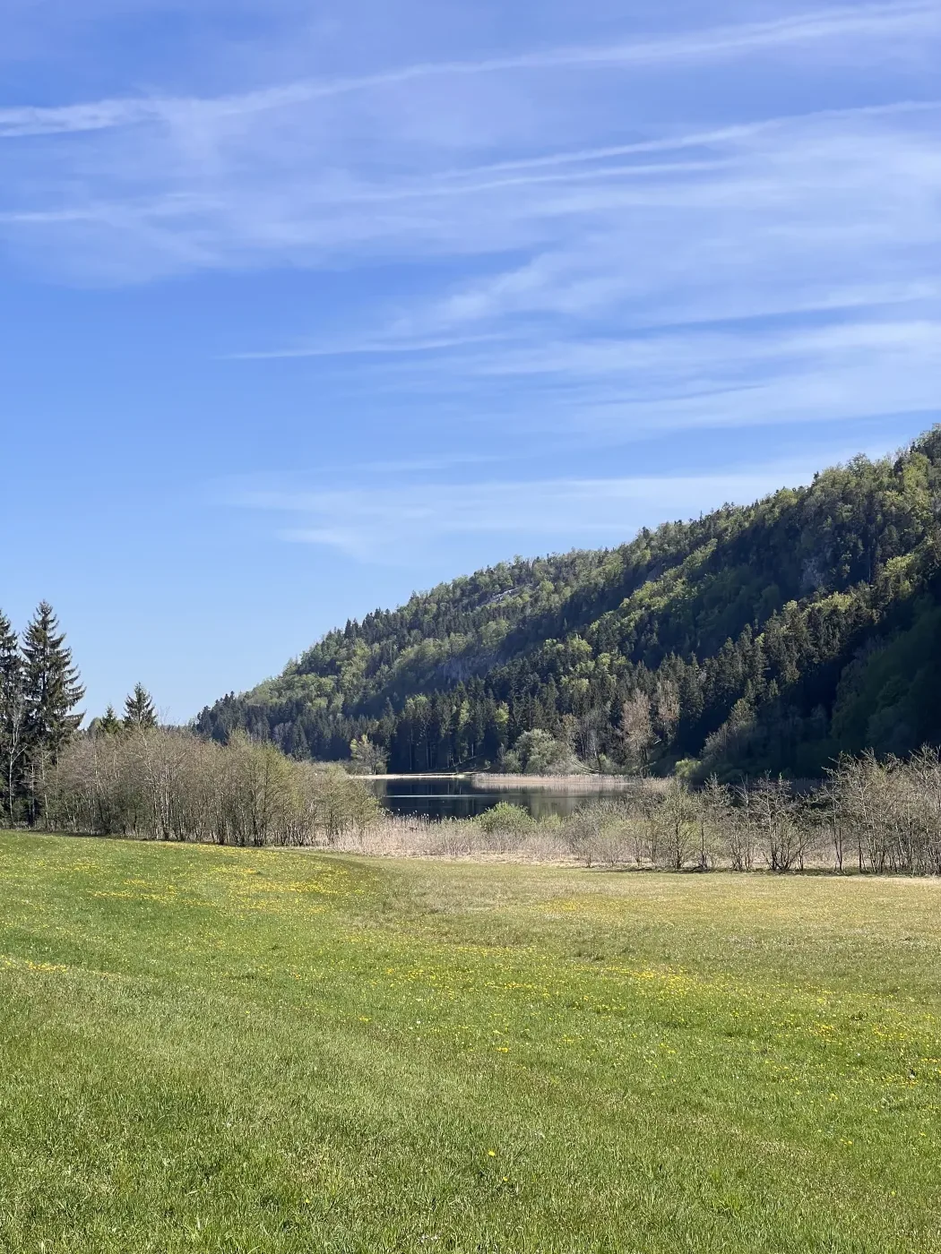 Prairie, lac et for&ecirc;t dans le Haut-Jura