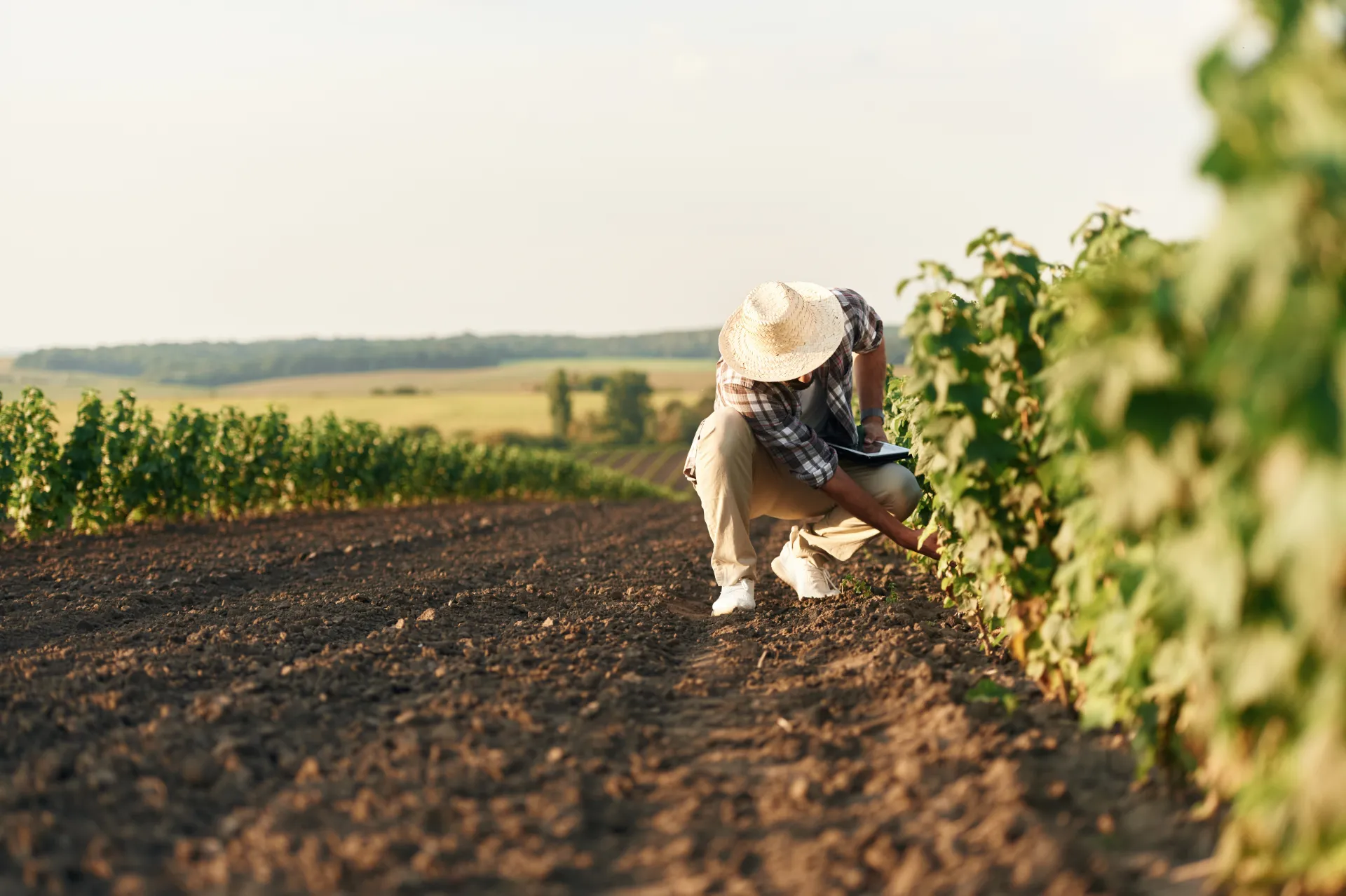 Agriculteur travaillant dans son exploitation