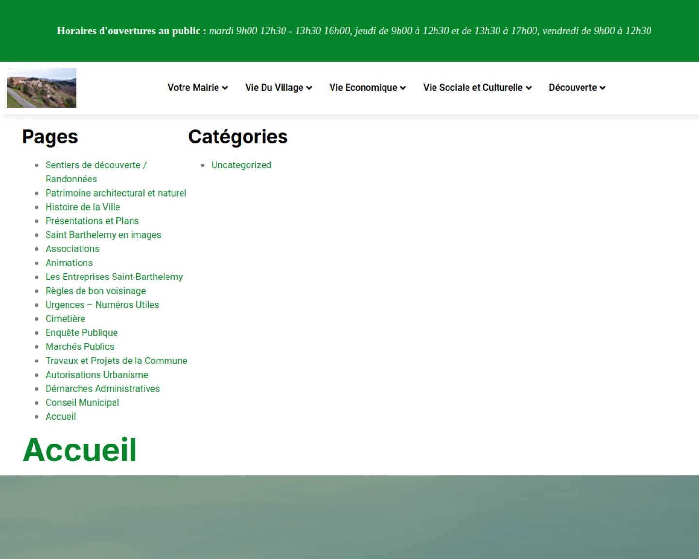 Capture du site de la mairie de Saint-Barthélemy-le-Meil