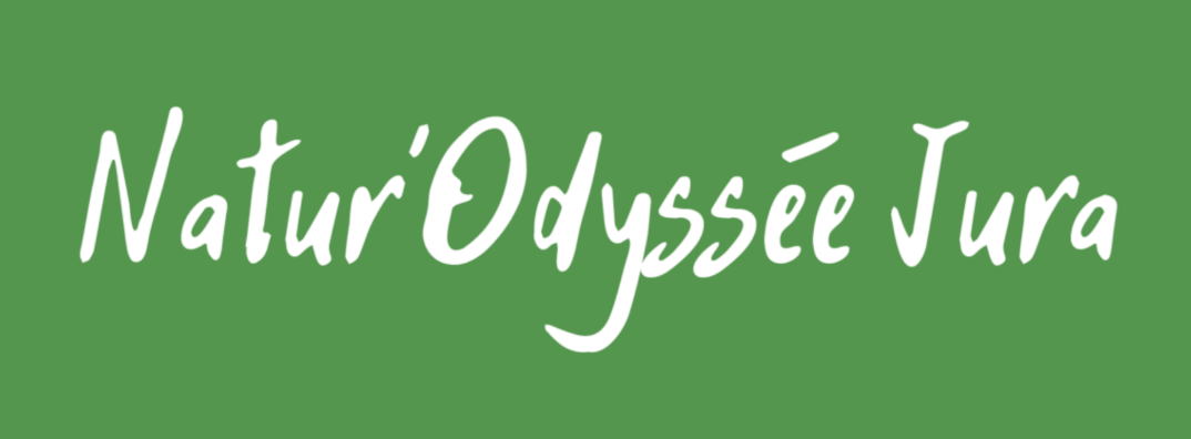 refonte site web natur'odyssée jura, blue strat
