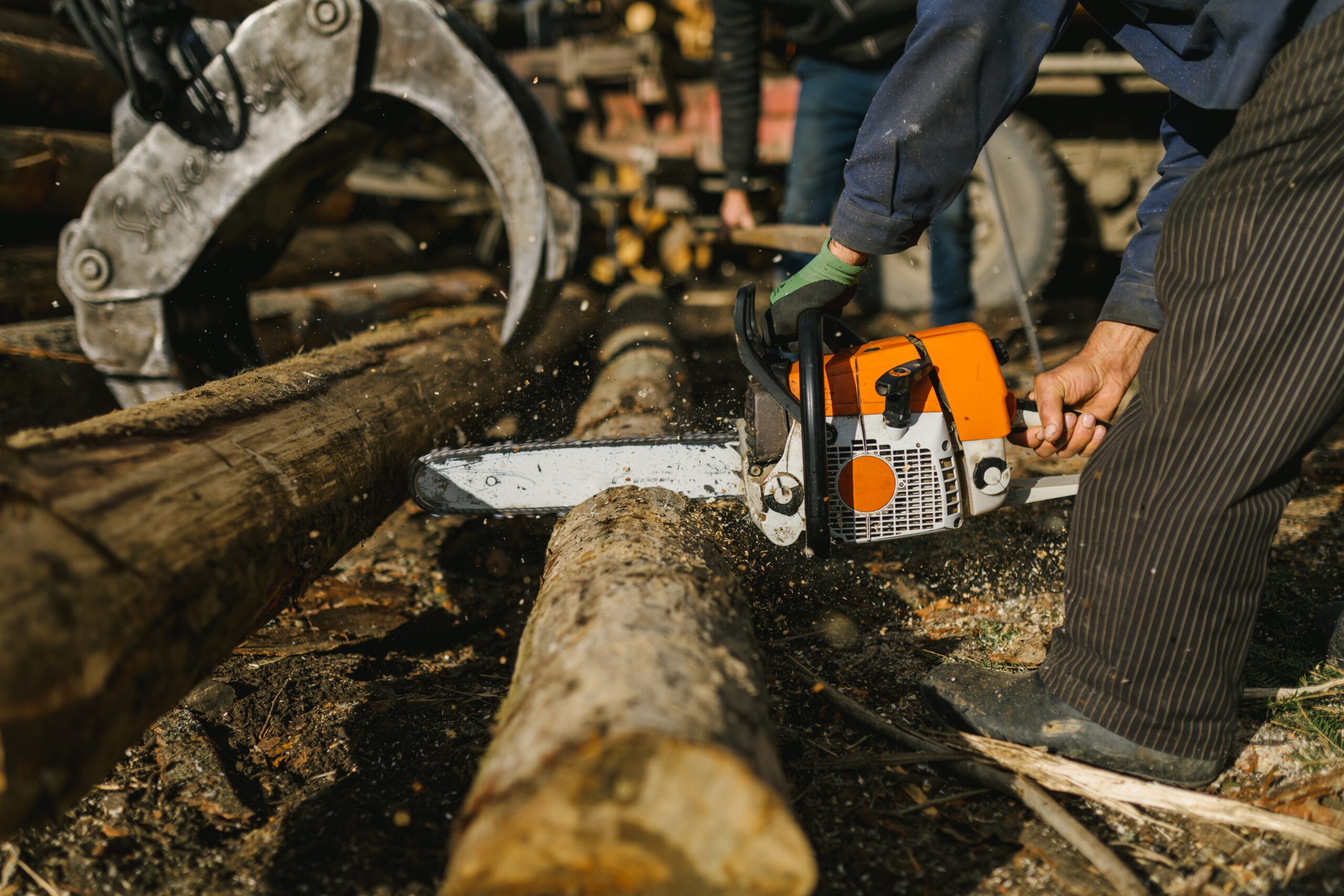 Travail forestier et exploitation du bois